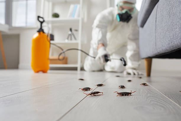 Trusted Fumigation Services service in Woodburn, OR - Nex Pest Control